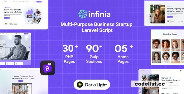 Infinia v1.0.7 - Multipurpose Business Consulting Startup Laravel Script - nulled