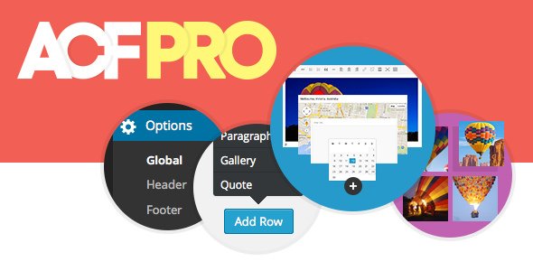 Advanced Custom Fields Pro v6.4.3